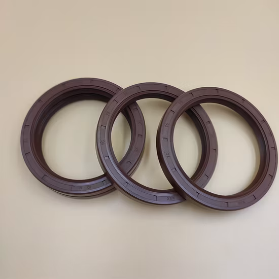 Standard or Nonstandard Hydraulic Tc Rotary FKM/NBR Rubber Oil Sealing/Seal