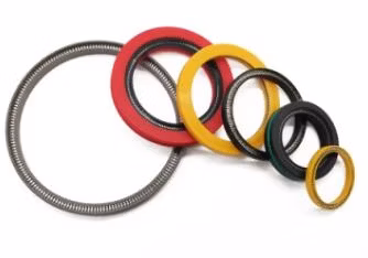 Vanne de pompe mécanique hydraulique Variseal, personnalisé, PTFE carbone Praphite Peek, tige de piston à double lèvre, ressort à huile rotatif, joint sous tension