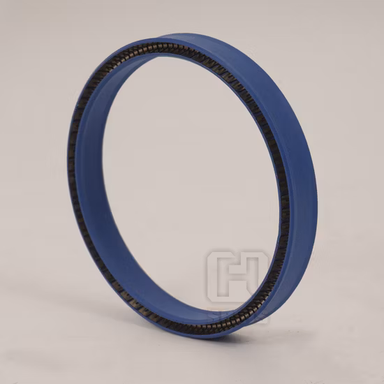 Le ressort fort de résistance à la pression a activé les joints toriques du joint PTFE